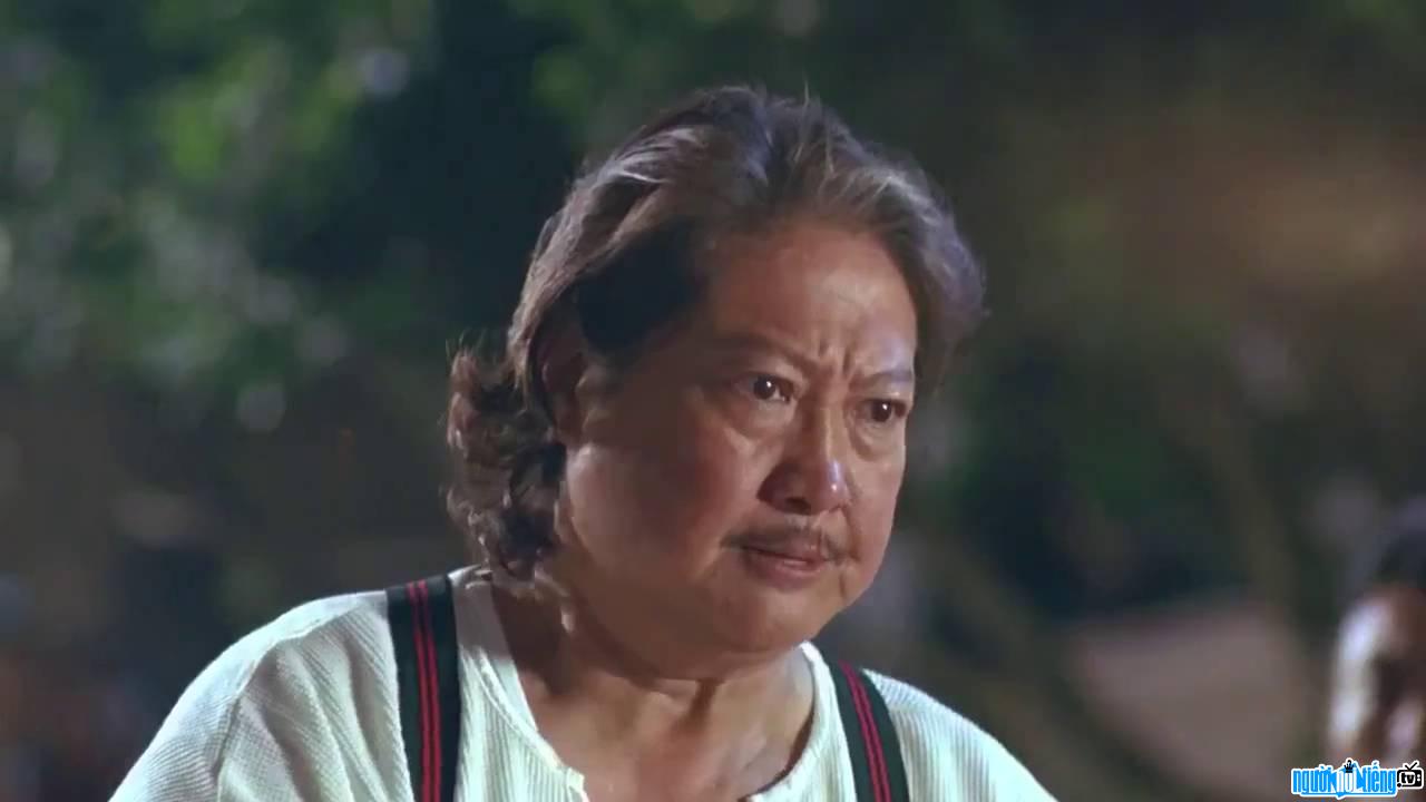 Hồng Kim Bảo trong phim Thần Đao