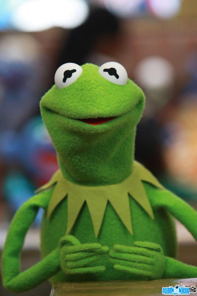Chú ếch Kermit the Frog nổi tiếng