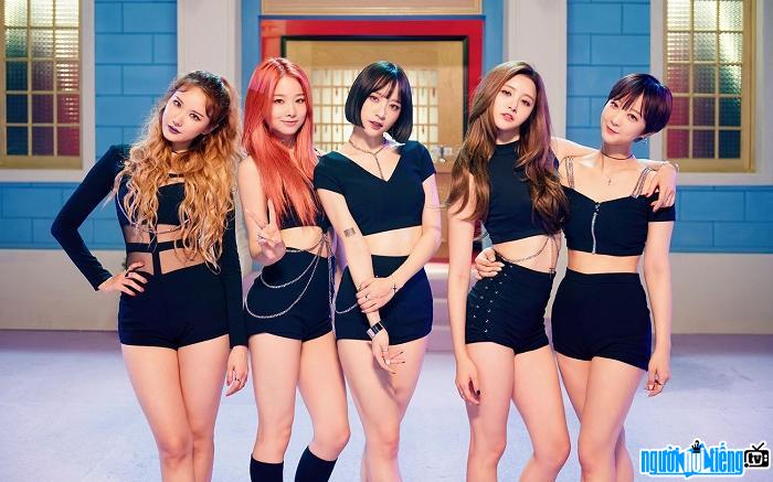  5 unique members of EXID group