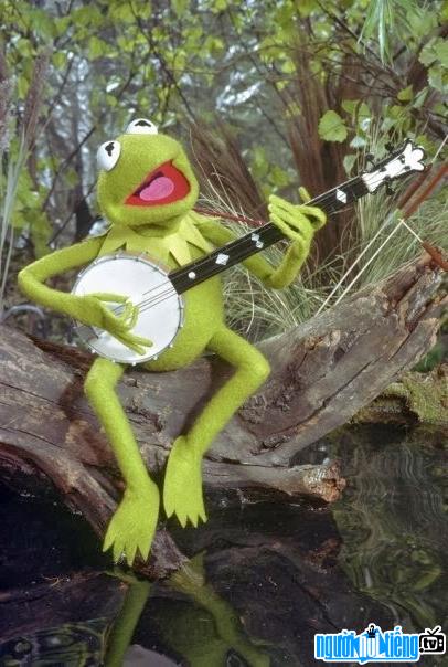 Nhân vật hoạt hình chú ếch Kermit the Frog