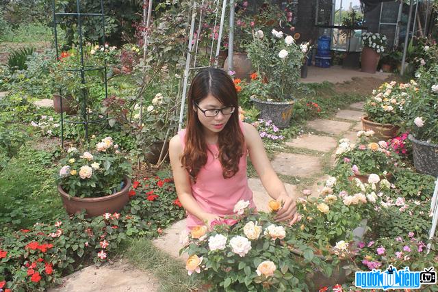  Pham Thien Trang with a valuable rose garden