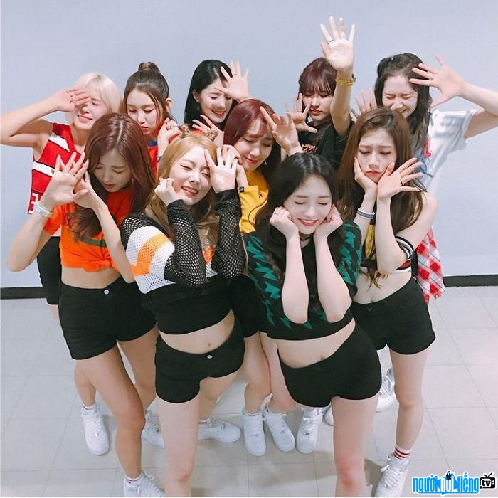  Young and personality girls of group Pristin