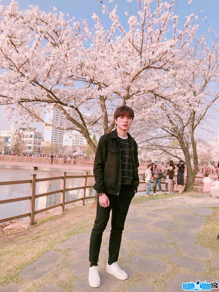  Hoai Tam took a photo with cherry blossoms