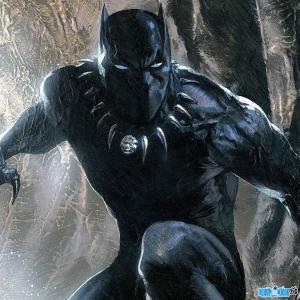 Fictional characters Black Panther