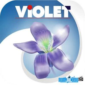 Website Violet.Vn