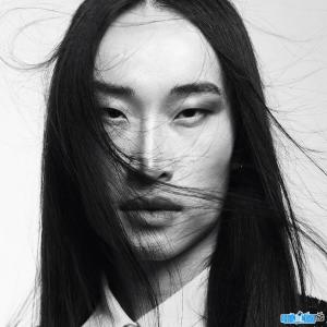 Model Thanh Tin