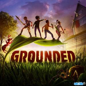 Game Grounded