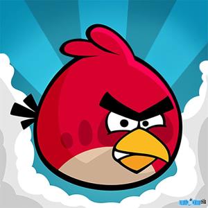 Ảnh Game Angry Birds