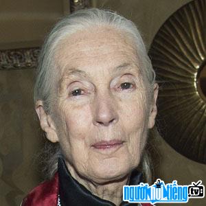 The scientist Jane Goodall